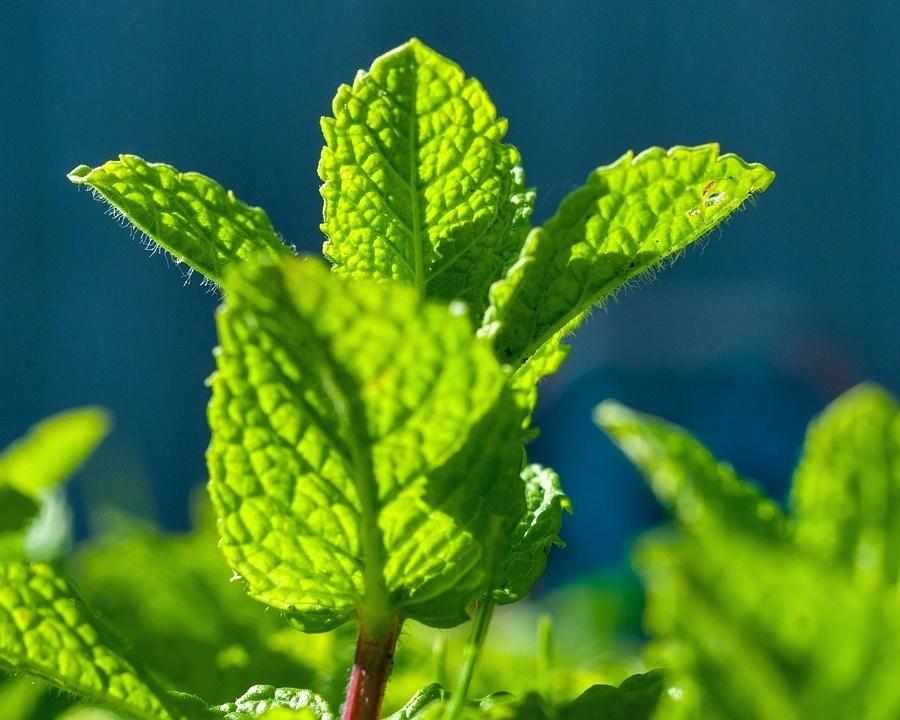 как развить сексуальный голо