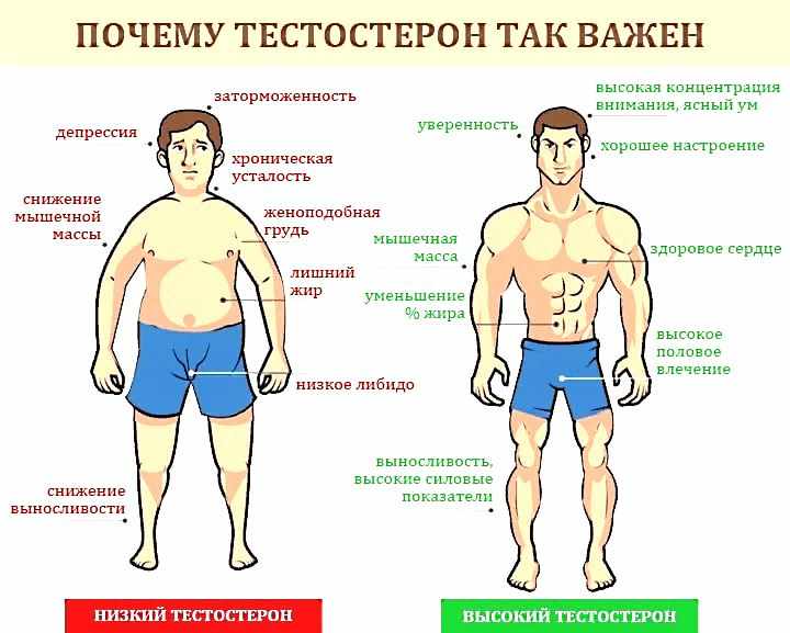 Цифросексуалов становится всё больше: почему мужчины меняют женщин на роботов?