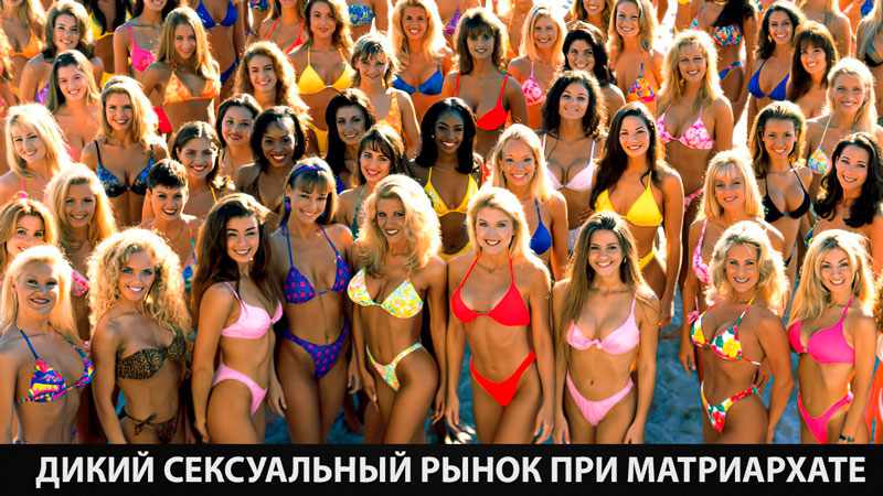 ​Дикий сексуальный рынок при матриархате 1-4 чать (Михаил Н - Мемуары Омеги)