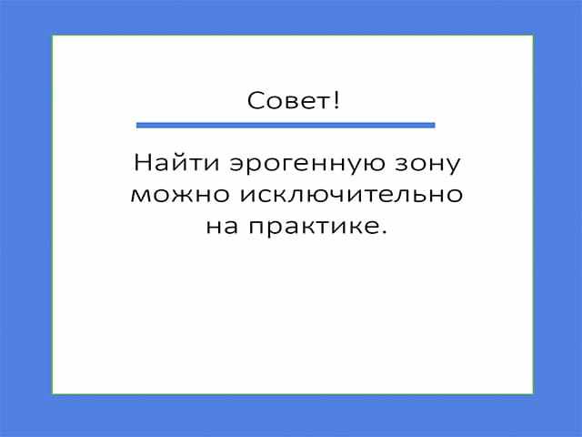 Что такое петтинг и почему им стоит регулярно заниматься